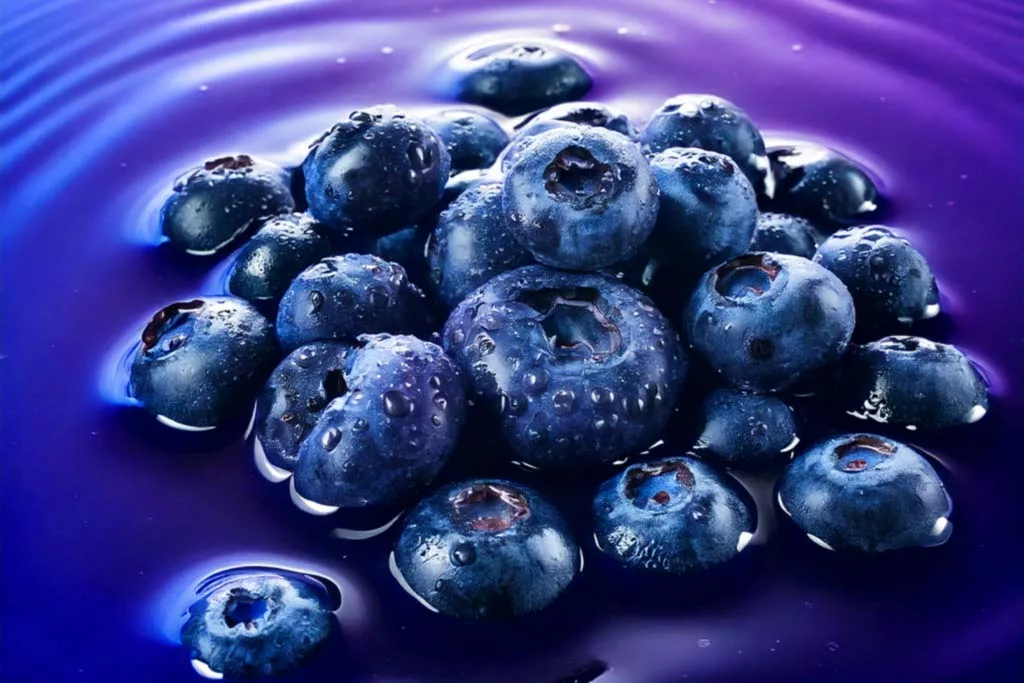 Les antioxydants dans OXYVITA : Protégez vos cellules et restez en forme 